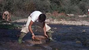 Кадры из фильма Самоа – королева джунглей / Samoa, regina della giungla (1968)