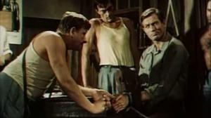 Кадры из фильма Волчье эхо / Wilcze echa (1968)