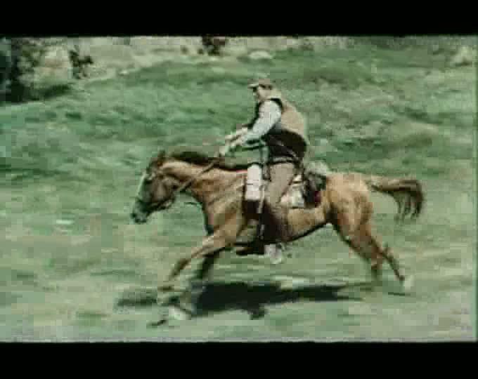Кадр из фильма Волчье эхо / Wilcze echa (1968)