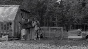 Кадры из фильма Стыд / Skammen (1968)