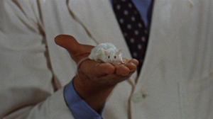 Кадры из фильма Чарли / The Good Earth (1968)