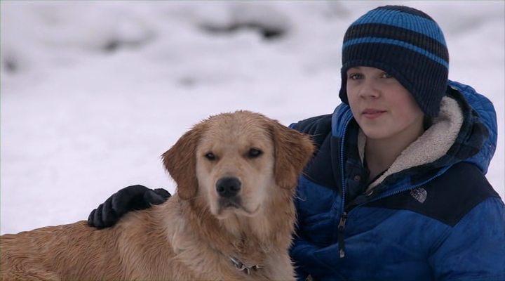 Кадр из фильма Рождество с Такером / Christmas with Tucker (2013)