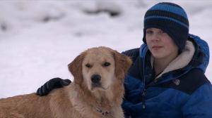 Кадры из фильма Рождество с Такером / Christmas with Tucker (2013)