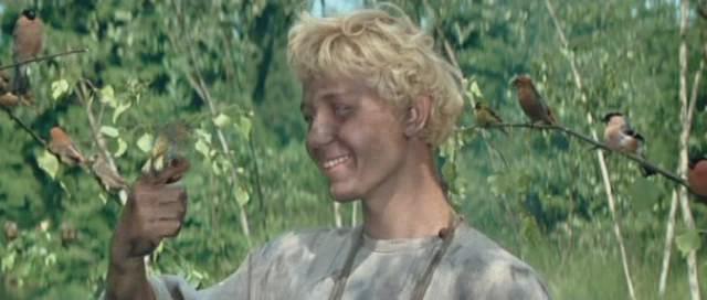 Кадр из фильма Огонь, вода и... медные трубы (1968)