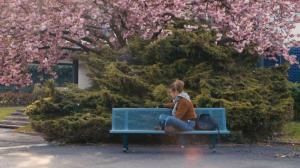 Кадры из фильма Жизнь Адель / La vie d'Adèle (2013)