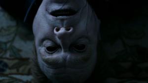 Кадры из фильма Логово зверя / Haunt (2013)