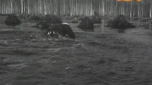 Кадры из фильма Сыновья уходят в бой (1969)