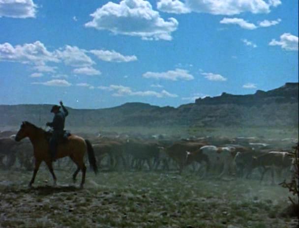 Кадр из фильма Шомпольщик / The Ramrodder (1969)