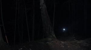 Кадры из фильма Загнанные / The Hunted (2013)