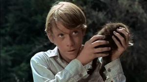 Кадры из фильма Шельмец / Rascal (1969)
