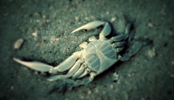 Кадр из фильма Береговой всадник / Fjällbackamorden: Strandridaren (2013)