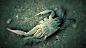 Кадры из фильма Береговой всадник / Fjällbackamorden: Strandridaren (2013)