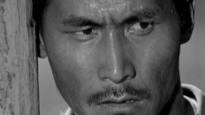 Кадры из фильма Джамиля / 1969 (1969)