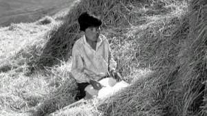 Кадры из фильма Джамиля / 1969 (1969)