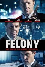 Особо тяжкое преступление / Felony (2013)