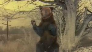 Кадры из фильма Король Манежа (1970)
