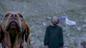 Кадры из фильма Кровавый ледник / Blutgletscher (2013)