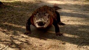 Кадры из фильма Земля аллигаторов / Ragin Cajun Redneck Gators (2013)