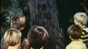 Кадры из фильма Странные каникулы / Strange Holiday (1970)