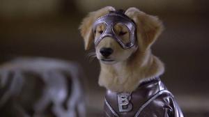 Кадры из фильма Пятерка супергероев / Super Buddies (2013)