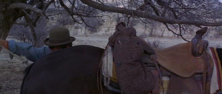 Кадр из фильма Грязный Дингус Маги / Dirty Dingus Magee (1970)