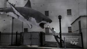 Кадры из фильма Акулий торнадо / Sharknado (2013)