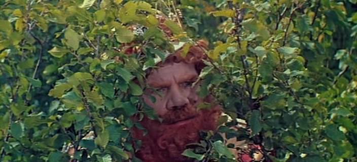 Кадр из фильма Варвара-краса, длинная коса (1970)