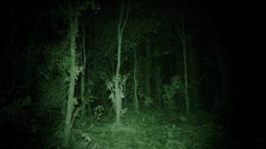 Кадры из фильма Джунгли / The Jungle (2013)