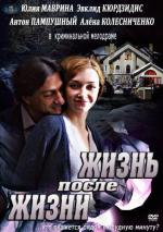 Жизнь после жизни (2013)