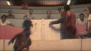 Кадры из фильма Генералы песчаных карьеров / The Sandpit Generals (1971)