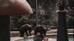 Кадры из фильма Как мы искали Тишку (1971)