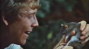 Кадры из фильма Уиллард / Willard (1971)
