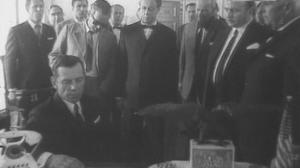 Кадры из фильма Вся королевская рать (1971)