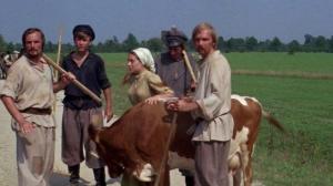 Кадры из фильма Скрипач на крыше / Fiddler on the roof (1971)