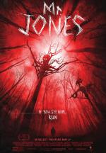 Мистер Джонс / Mr. Jones (2013)