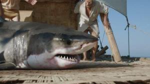 Кадры из фильма Кон-Тики / Kon-Tiki (2013)