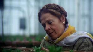 Кадры из фильма Гарольд и Мод / Harold and Maude (1971)
