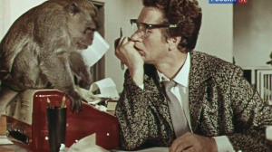 Кадры из фильма Где вы, рыцари? (1971)