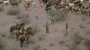 Кадры из фильма Скотоводческая компания Калпеппера / The Culpepper Cattle Co (1972)