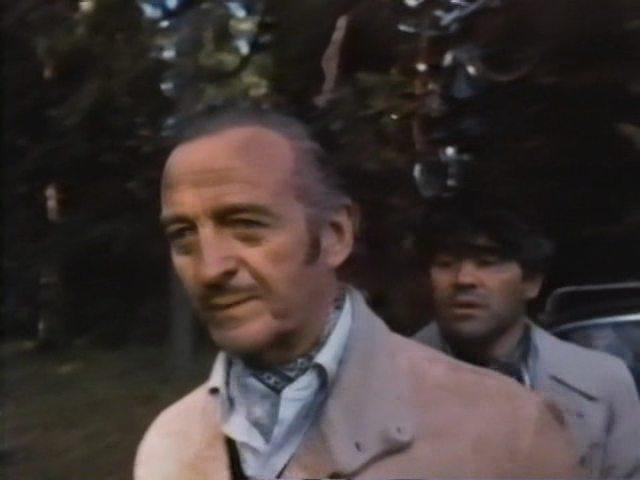Кадр из фильма Король, дама, валет / King, Queen, Knave (1972)