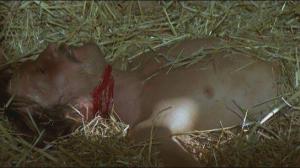 Кадры из фильма Зачем жить, зачем умирать / Una ragione per vivere e una per morire (1972)