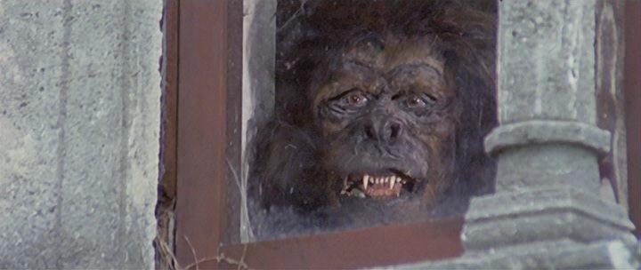 Кадр из фильма Смерть отображается в кошачьих глазах / La morte negli occhi del gatto (1973)