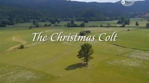 Кадры из фильма Рождественский жеребенок / The Christmas Colt (2013)