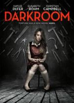 Фотолаборатория / Darkroom (2013)