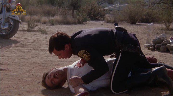 Кадр из фильма Парни в синей форме / Electra Glide in Blue (1973)