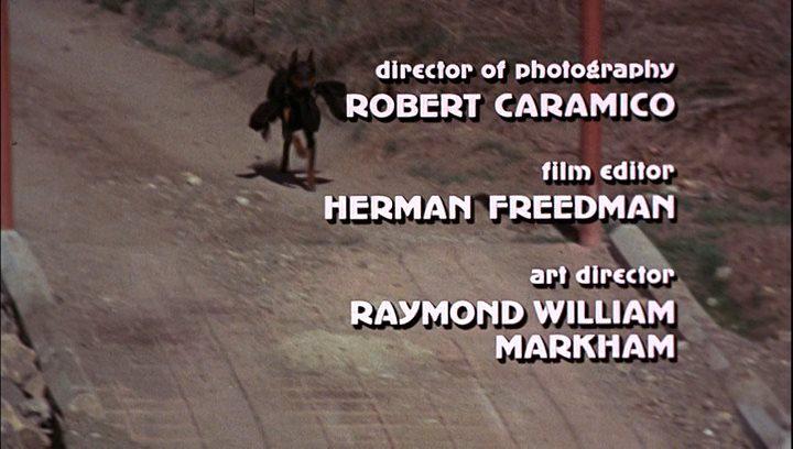 Кадр из фильма Отважные доберманы / The Daring Dobermans (1973)