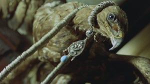 Кадры из фильма Баба Яга / Baba Yaga (1973)
