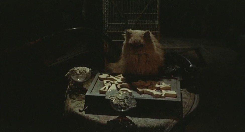 Кадр из фильма Баба Яга / Baba Yaga (1973)