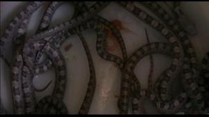 Кадры из фильма Ccccccc / Sssssss (1973)
