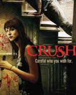 Одержимая / Crush (2013)